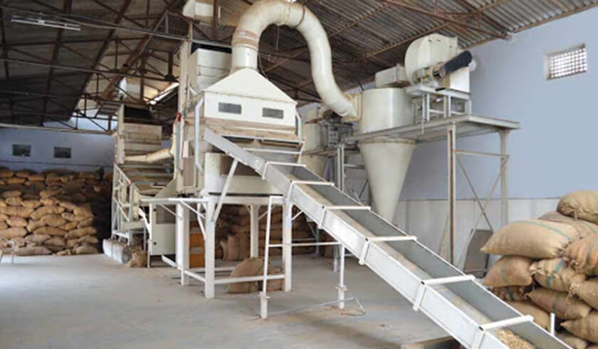 S. V. Gadag Ginning Factory - Groundnut Processing & Export | ISO Certified